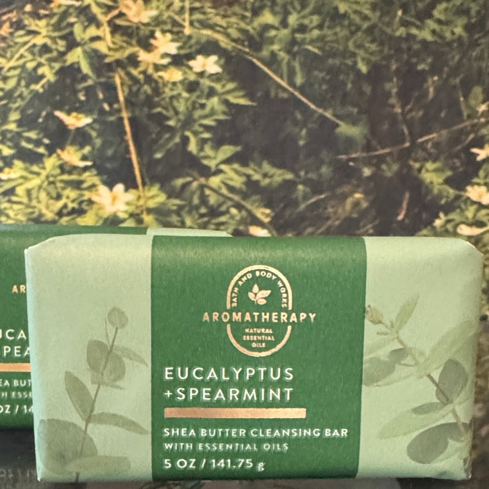 ⭐️2 Bath & Body Works Aromatherapy Eucalyptus Spearmint Cleansing Bars⭐️3/$25